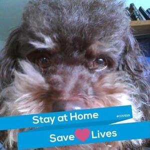 Meet your Posher, Kathleen